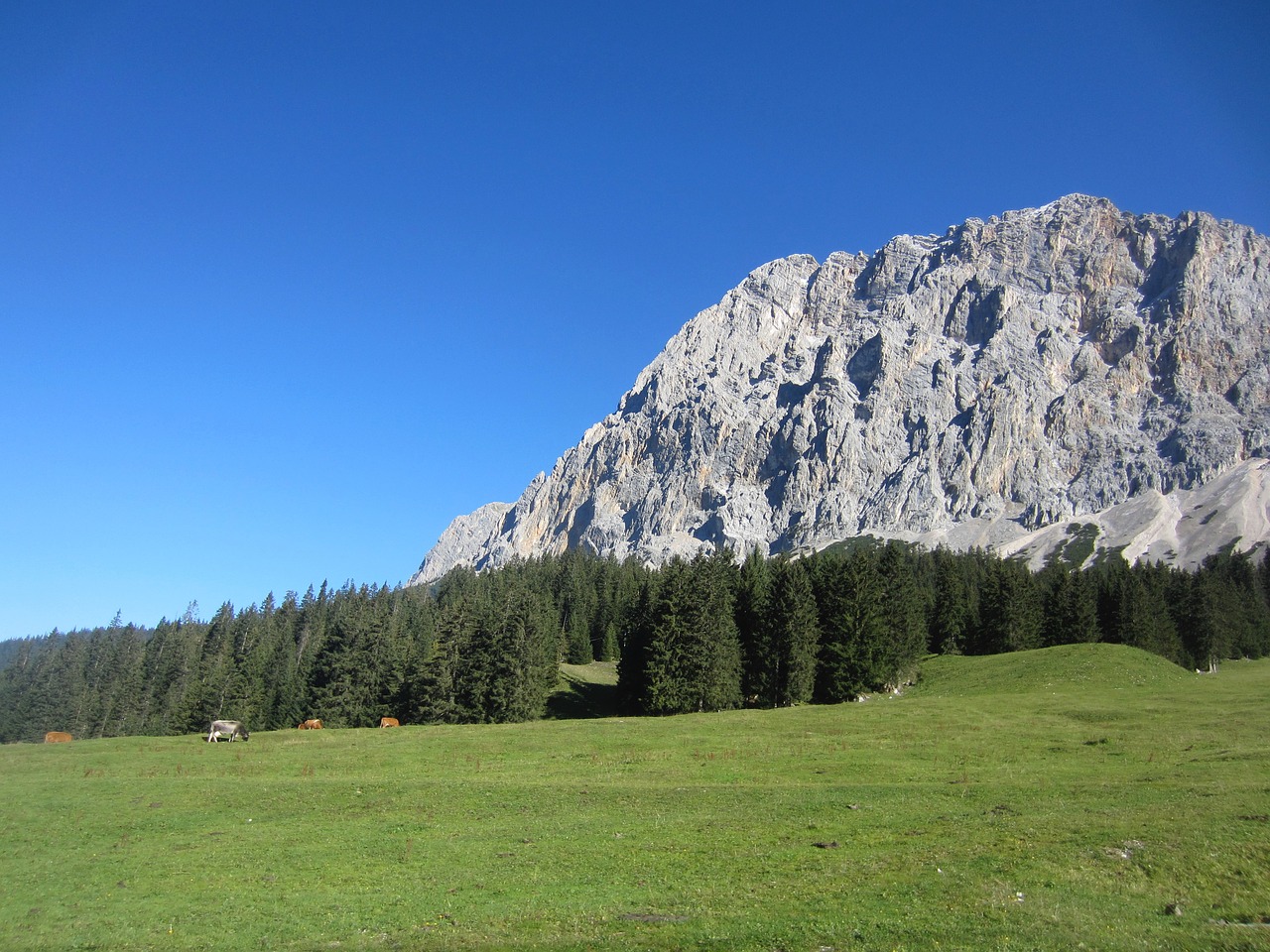 Zugspitze, Kalnas, Žygiai, Lipti, Tyrol, Dolomitai, Kalnai, Idilija, Kalnų Žygiai, Kalnų Papėdijos
