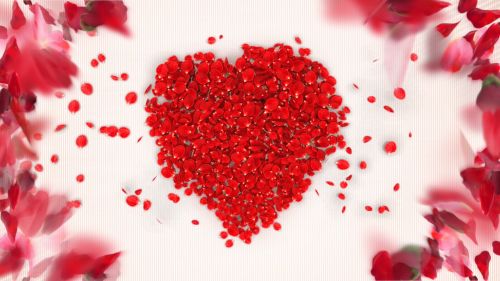 Rožė,  Meilė,  Pripažinimą,  Žiedlapis,  Valentine,  Džiaugsmas,  Viltis,  Pavasaris,  Gėlės,  Raudona,  Širdis Iš Žiedlapių