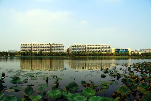 Campus,  Wuhan Universitetas
