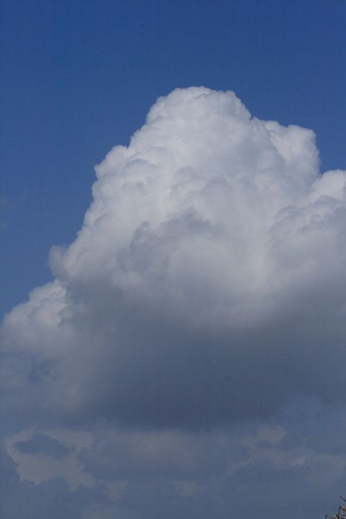 Debesys,  Dangus,  Cumulus,  Gamta,  Mėlynas,  Cloudscape