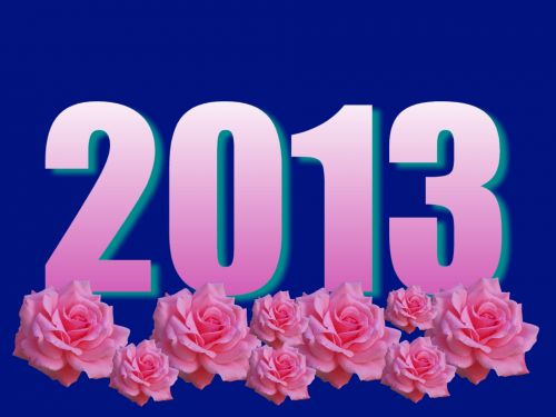 2013,  Data,  Metai,  Rožės,  Rožinis,  Mėlynas,  Grafika,  2013 M. Išaugo Grafika