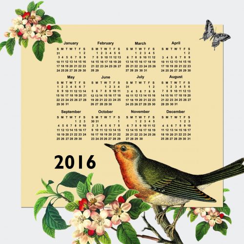 2016 & Nbsp,  Kalendorius,  Kalendorius,  2016,  Vintage,  Paukštis,  Žiedas,  Gėlės,  Gėlių,  Gražus,  Drugelis,  Dienoraštis,  Planuotojas,  Mėnuo,  Mėnesių,  Metai,  Datas,  Menas,  Iliustracija,  Laisvas,  Viešasis & Nbsp,  Domenas,  2016 Kalendorinis Vintage Paukštis