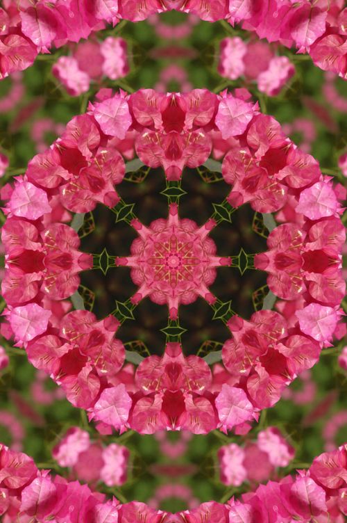 Mandala,  Gėlė,  Gėlių,  Kaleidoskopas,  Žalias,  Rožinis,  Šviesus,  Gyvas,  Gėlių Mandala 2
