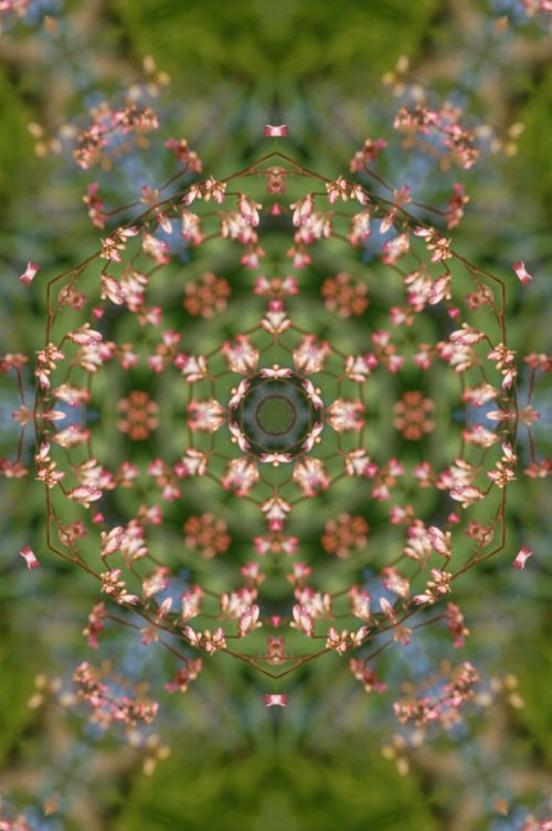 Mandala,  Gėlė,  Gėlių,  Kaleidoskopas,  Žalias,  Rožinis,  Subtilus,  Pastelė,  Svajingas,  Gėlių Mandala 3