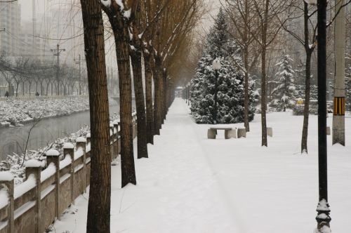 Sniegas,  Sniegas,  Pekinas,  Kinija,  Žiema Pekine