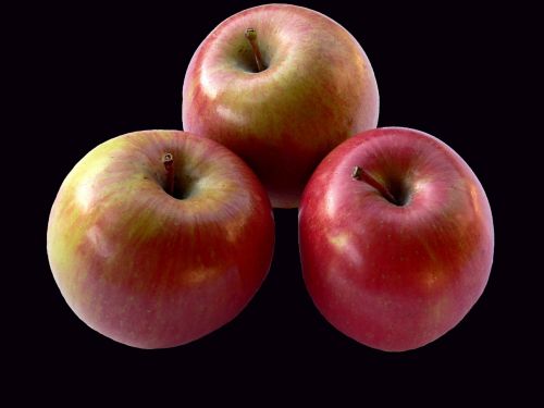 Obuoliai,  Augalai,  Juodoji Serija