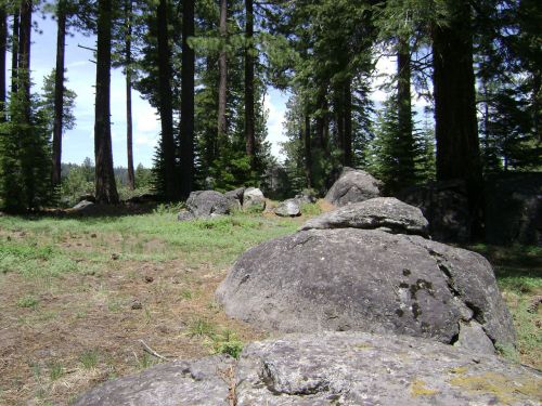 Akmenys,  Medžiai,  Ežeras 724 M