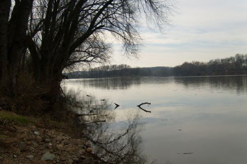 Upė,  Medžiai,  Twilight,  Potomac Upė