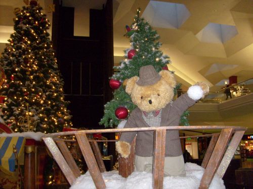 Turėti,  Teddy,  Rodyti,  Kalėdos,  Didelis Meškiukas