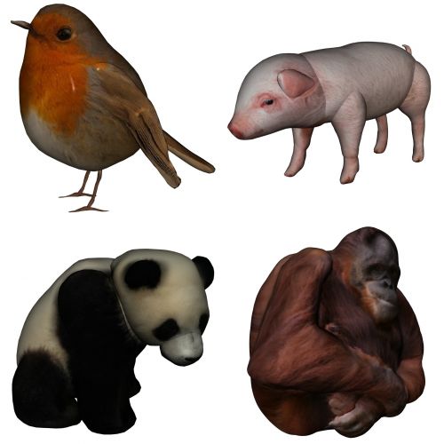 Orangutanas,  Panda,  Paršelis,  Robin,  3D,  Paukštis,  Nustatyti,  Laukiniai,  Vidaus,  Gyvūnai,  Piešimas,  Spalva,  Panorama,  Piktogramos,  Iškarpinę,  Iškarpų Albumas,  4 Gyvūnai