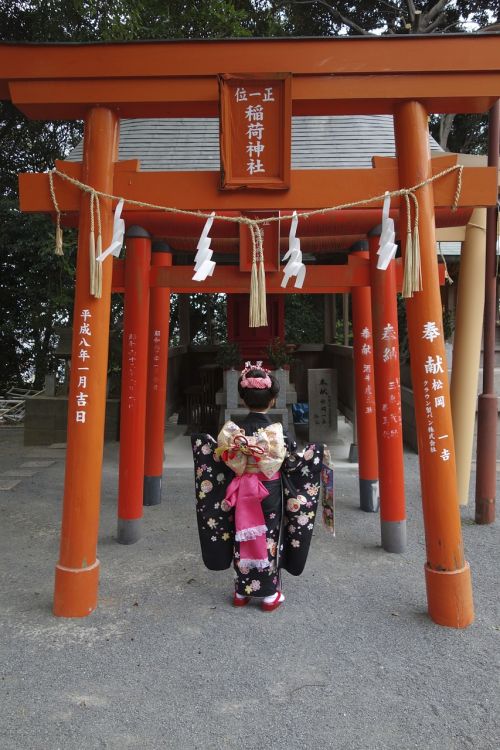 753, Šventykla, Inari, Kimono, Japonija