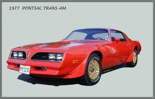 Pontiac,  Trans Am,  Automobilis,  Amerikietis,  V8,  1977 Pontiac Trans Am