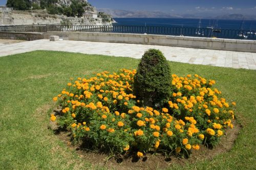 Corfu,  Miestas,  Gėlės,  Parkas,  Medis,  Jūra,  Vanduo,  Vasara,  Graikija,  Korfu Miesto Parkas
