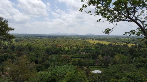 Vaizdingas Vaizdas, Dutugemunu Miško Vienuolynas, Vijithapura, Kalaweva, Šri Lanka