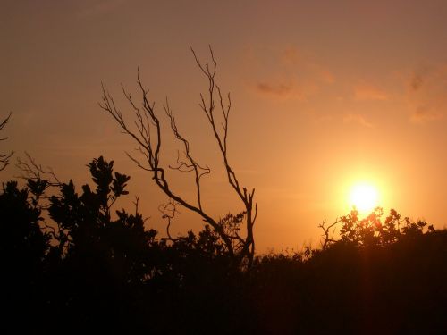 Abendstimmung, Romantika, Dangus, Saulėlydis, Saulė, Oranžinė, Apšvietimas, Gamta