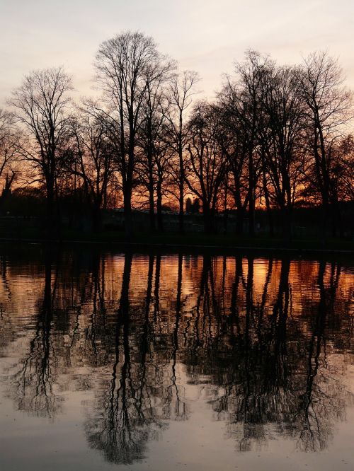 Abendstimmung, Upė, Medžiai, Vanduo, Saulėlydis, Veidrodis, Romantika, Meilė, Dangus, Pastelė