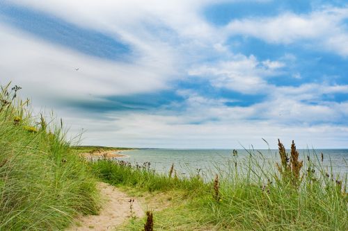 Aberdeen, Papludimys, Žolė, Pajūryje, Jūra, Dangus, Vanduo, Vandenynas, Škotija, Kranto, Mėlynas, Kraštovaizdis, Turizmas, Vasara, Uk, Gamta, Jūros Dugnas, Peizažas, Aberdeenshire, Smėlis, Banga, Pakrantė, Debesys, Šiaurė, Žalias, Krantas, Škotų