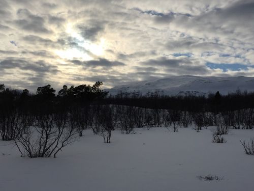 Abisko, Sniegas, Švedija