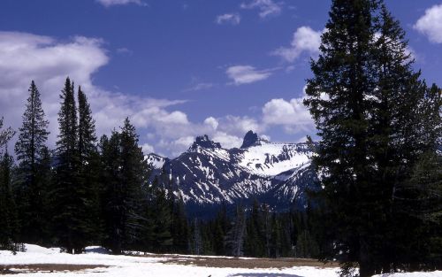 Absarokos Kalnų Slėnis, Geltonojo Akmens Nacionalinis Parkas, Montana, Usa, Žiema, Sniegas, Kraštovaizdis, Debesys, Medžiai, Pušis, Lauke, Miškas, Dykuma, Vaizdingas