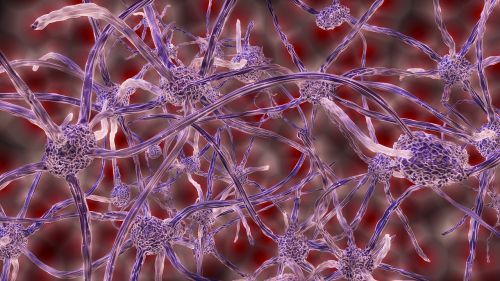 Abstraktus, Nervų Ląstelės, Ryšys, Nuoroda, 3D, Blenderis