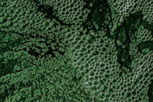 Abstraktus,  Žalias,  Burbulas,  Formos,  Fonas,  Abstraktūs Žali Burbuliukai