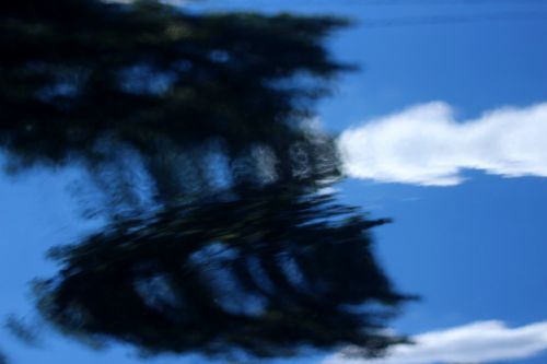 Abstraktus,  Atspindys,  Dangus,  Medžiai,  Mėlynas,  Juoda,  Automobilis,  Abstraktus Automobilio Apmąstymas 2