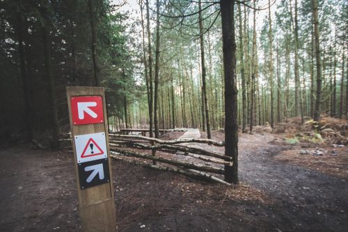 Avarija, Strėlės, Spygliuočių, Pavojus, Dienos Šviesa, Kryptys, Aplinka, Tvora, Miškas, Kraštovaizdis, Lapai, Šviesa, Gamta, Lauke, Parkas, Kelias, Kelias, Ženklai, Trasa, Takas, Kelionė, Medžiai, Mediena, Miškai