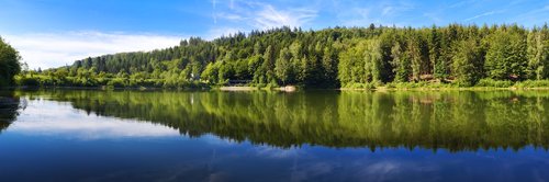 Adelberg,  Kraštovaizdis,  Ežeras,  Miškas,  Medžiai,  Vanduo