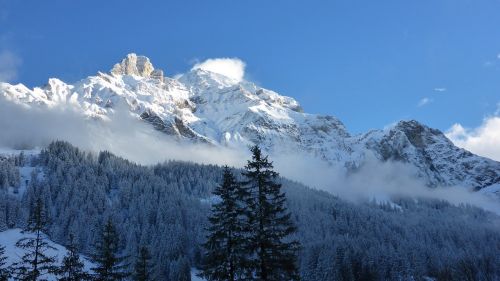 Adelboden, Žiema, Alpių, Šveicarija, Sniegas, Sausis