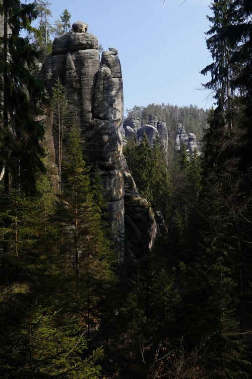 Adršpach, Akmenys, Smiltainis, Čekų, Gamta, Medžiai