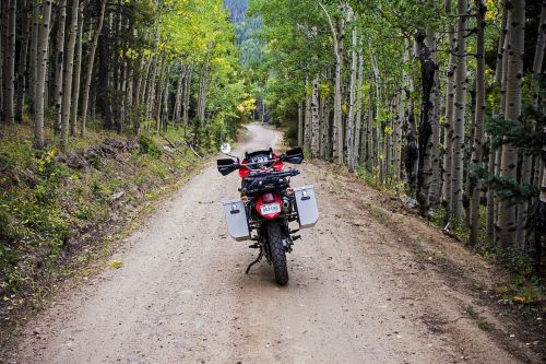 Nuotykis, Aspen, Aspenos Medžiai, Purvo Nuoma, Purvo Kelias, Kritimas, Kritimo Lapija, Motociklas, Medžiai, Miškai