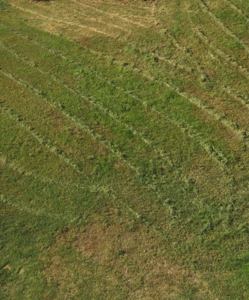 Veja,  Žolė,  Supjaustyti,  Paruošimas,  Aerial View Of Lawn