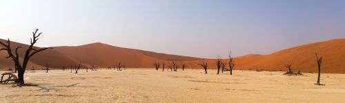 Afrika, Namibija, Kraštovaizdis, Namib Dykuma, Dykuma, Kopos, Smėlio Kopos, Sausas, Smėlis, Smėlio, Heiss, Gamta, Medžiai, Negyvas Augalas, Nacionalinis Parkas