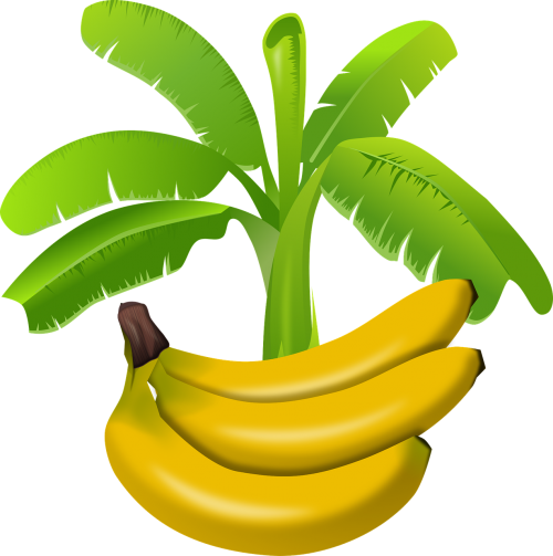 Afrika, Bananas, Egzotiškas, Maistas, Maistas Ir Virimas, Vaisiai, Medis, Tropinis, Nemokama Vektorinė Grafika