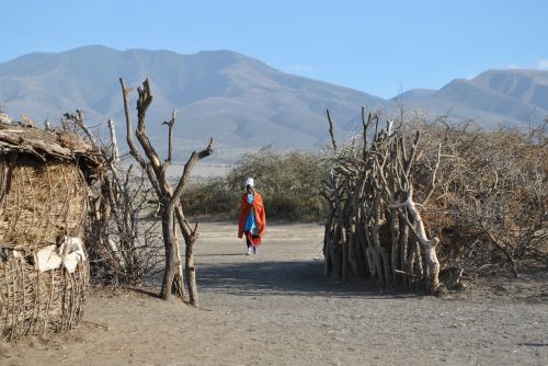 Afrika, Tanzanija, Serengeti, Masai, Gyventojai, Kaimas, Nacionalinis Parkas