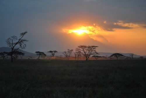 Afrika, Tanzanija, Nacionalinis Parkas, Safari, Serengeti, Saulėlydis, Afterglow