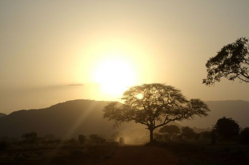 Afrika, Saulėlydis, Medžiai, Šventė