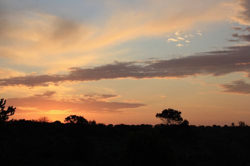 Afrika, Panorama, Kraštovaizdis, Į Pietus, Kelionė, Kaimas, Gamta, Nuotykis, Dangus, Veld, Kelionė, Vaizdingas, Vakaras, Dusk, Turizmas, Lauke, Saulėlydis, Scena, Sub-Sahara, Kaimas, Ramus, Debesis, Saulės Šviesa