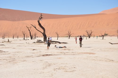 Afrikoje,  Dykuma,  Namibija,  Kalvos,  Fotografas