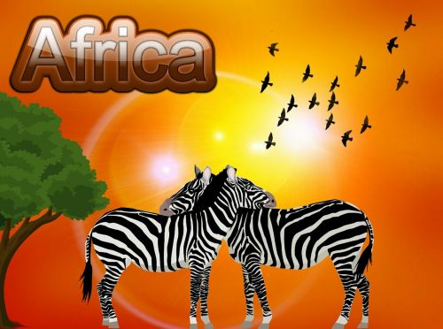 Afrika, Saulė, Šventė, Zebra, Paukščiai, Laukinė Gamta, Safari