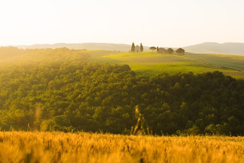 Žemdirbystė,  Laukas,  Kraštovaizdis