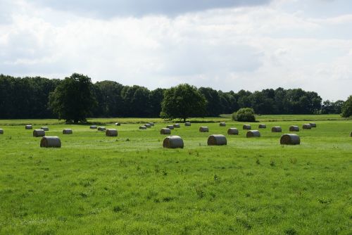 Žemdirbystė, Šiaudai, Šienas, Ritinys, Pieva, Kraštovaizdis, Gamta, Kaimas, Dangus, Debesys, Skubėti, Edemissen