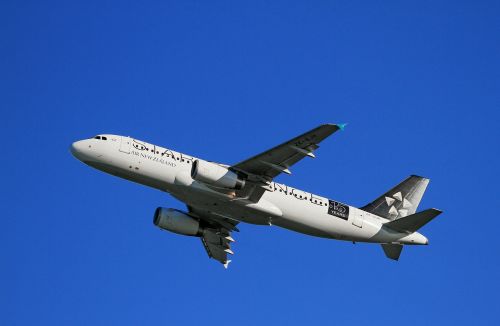 Orlaivio Kilimas, Oro Naujasis Zelandas, Airbus, A320, Keleiviniai Orlaiviai, Auckland
