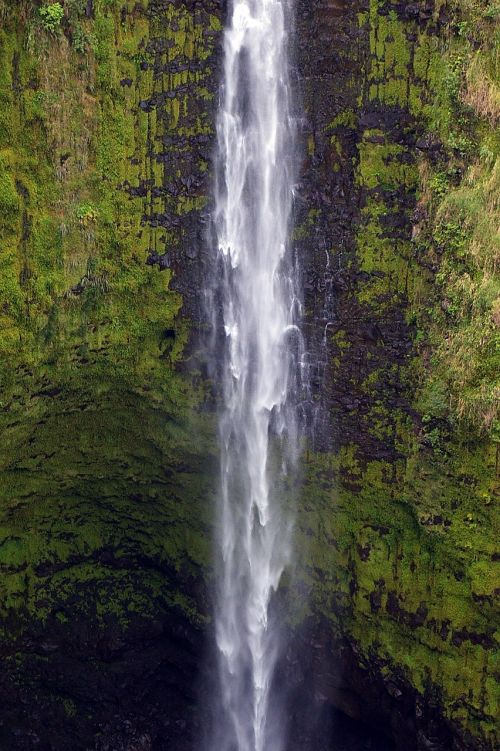 Akaka Patenka, Hawaii, Didžioji Sala, Peizažas, Gamta, Labas, Kraštovaizdis