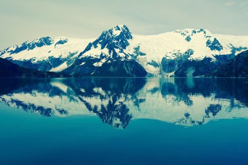 Alaska, Fjordas, Vanduo, Vaizdingas, Ledynas, Gamta, Kenai, Arktinė, Klimatas, Pakrantė, Moreninė, Dykuma