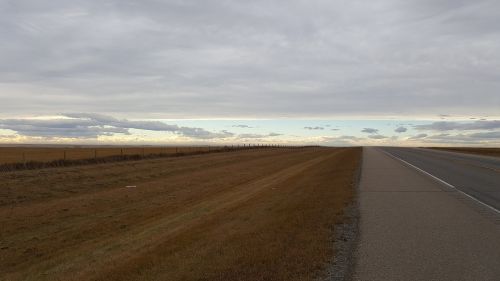 Alberta, Prairie, Laukai, Laukas, Kvieciai, Prairiečiai, Horizontas, Butas