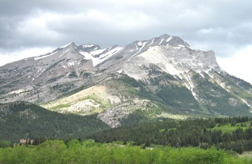 Alberta, Kanada, Uolėti Kalnai, Pieva, Gamta