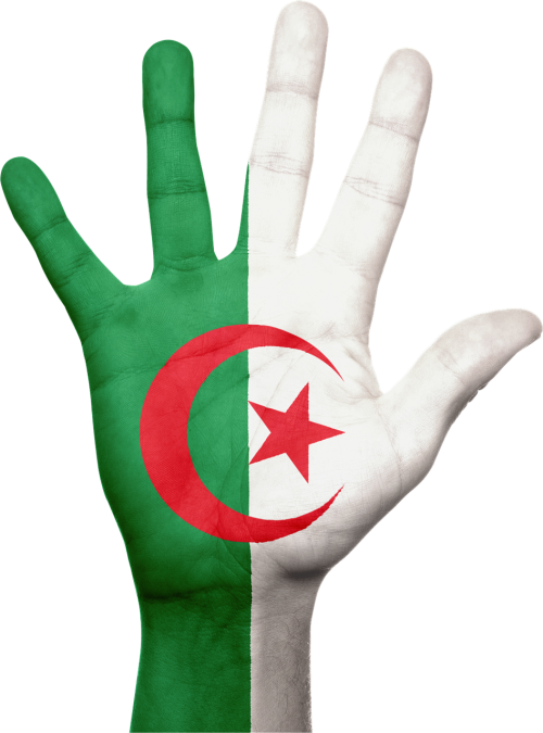 Algeria, Ranka, Vėliava, Patriotinis, Patriotizmas, Afrika, Ženklas, Simbolis