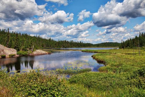 Algonkino Parkas, Ežeras, Peizažas