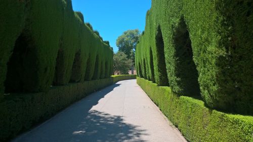 Alhambra, Muziejus, Kelionė